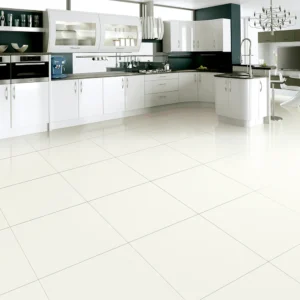 1003224834 - SALT SOLUBLE - JA8000 (1)